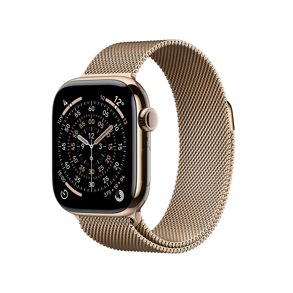 Smartwatch Apple Titanium-14