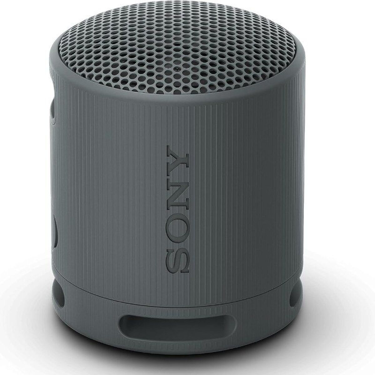 Portable Bluetooth Speakers Sony XB100 Black-0